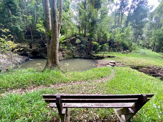 8 Tallowood Terrace, Currumbin Valley QLD 4223, Currumbin Valley - Image 1