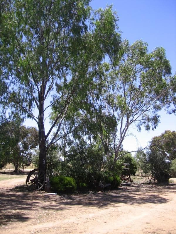 WILBY VIC 3728, Wilby - Thumbnail 5