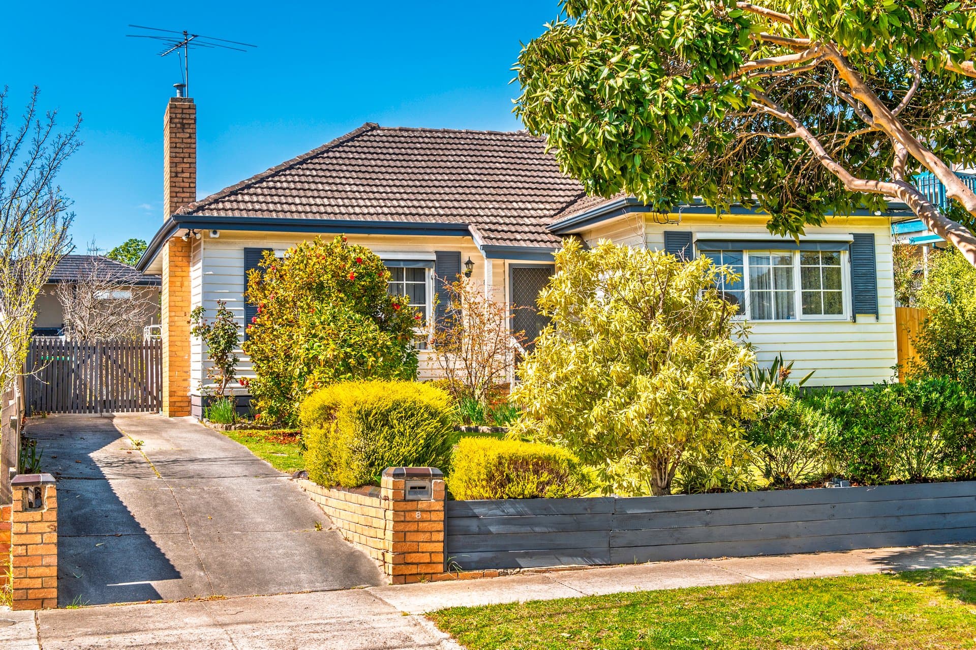 8 Andrews Street, Burwood - Image 1