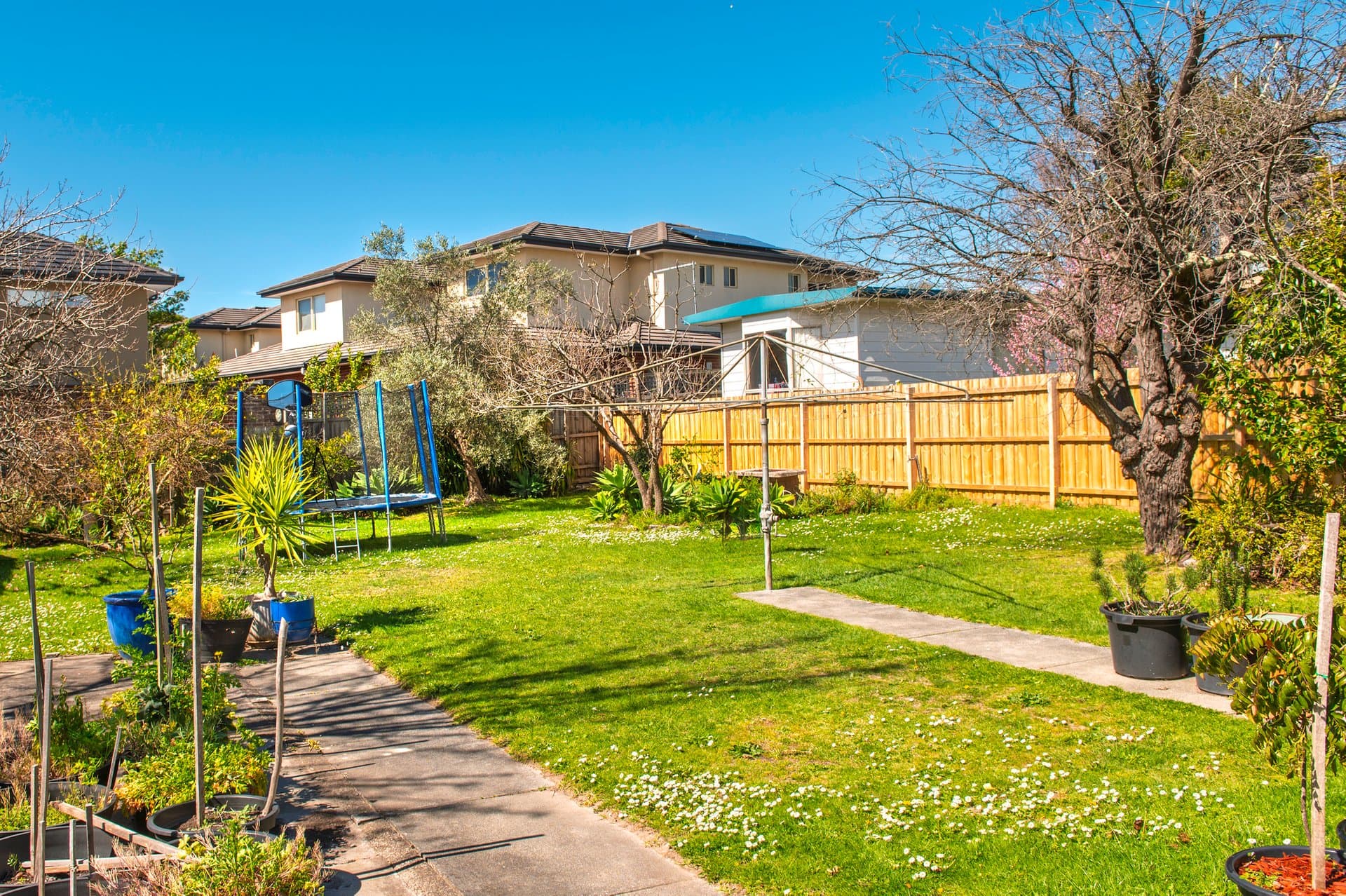 8 Andrews Street, Burwood - Thumbnail 8