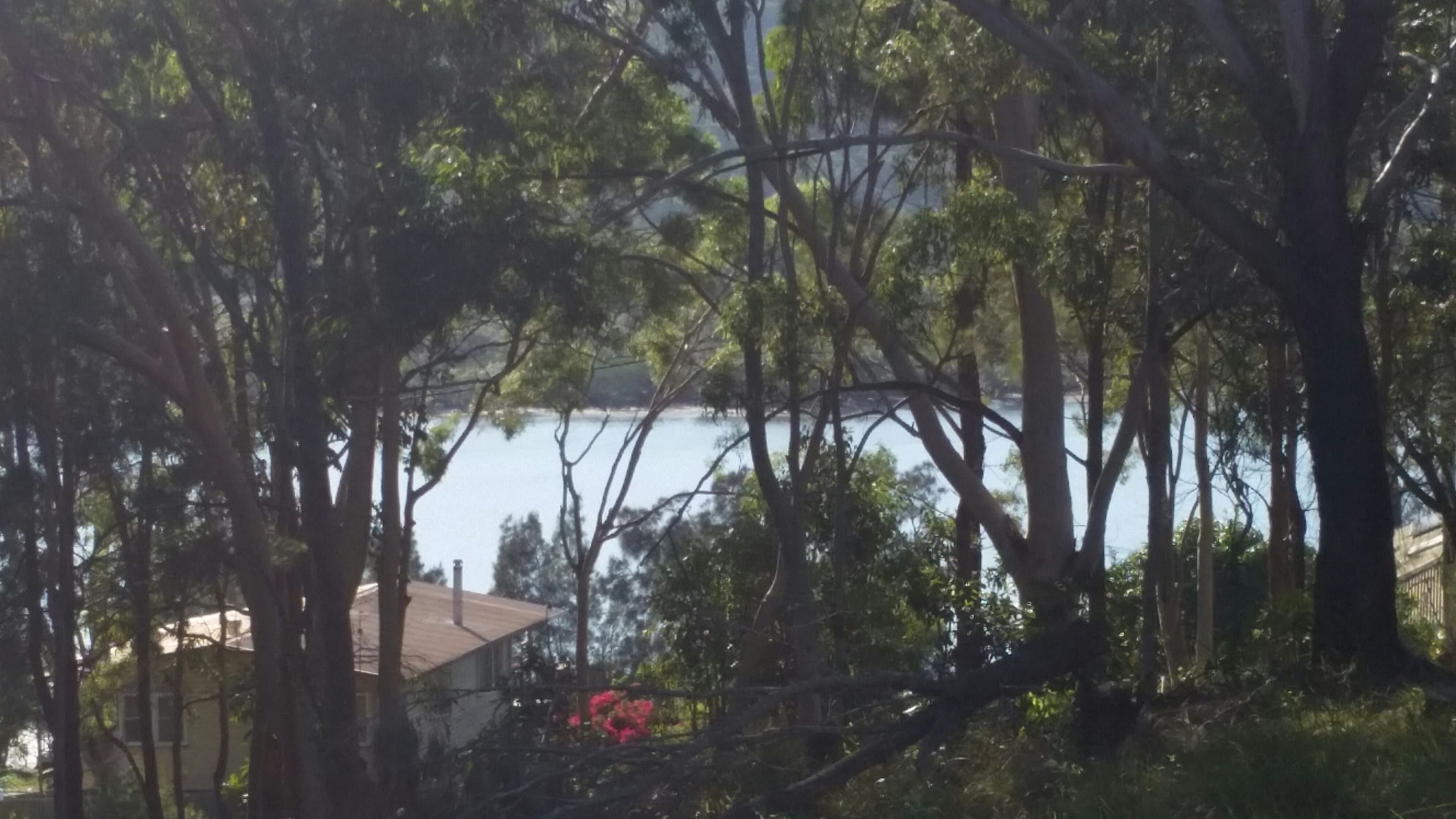 87 Highland Ridge Road, Russell Island QLD 4184, Russell Island - Thumbnail 6