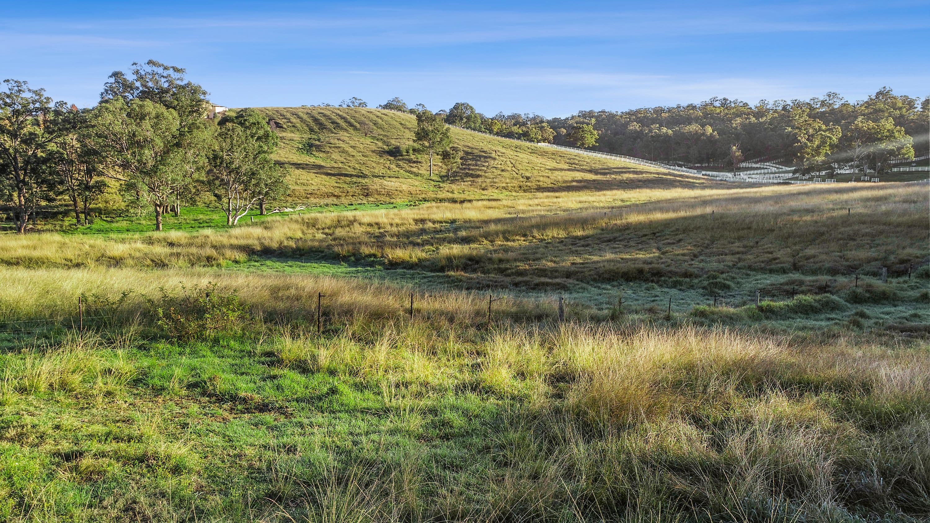 78 Brahma Road, North Richmond NSW 2754, North Richmond - Thumbnail 8