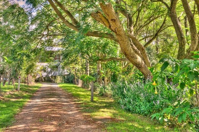 112 Coomera Gorge Drive, TAMBORINE MOUNTAIN QLD 4272, Tamborine Mountain - Thumbnail 6