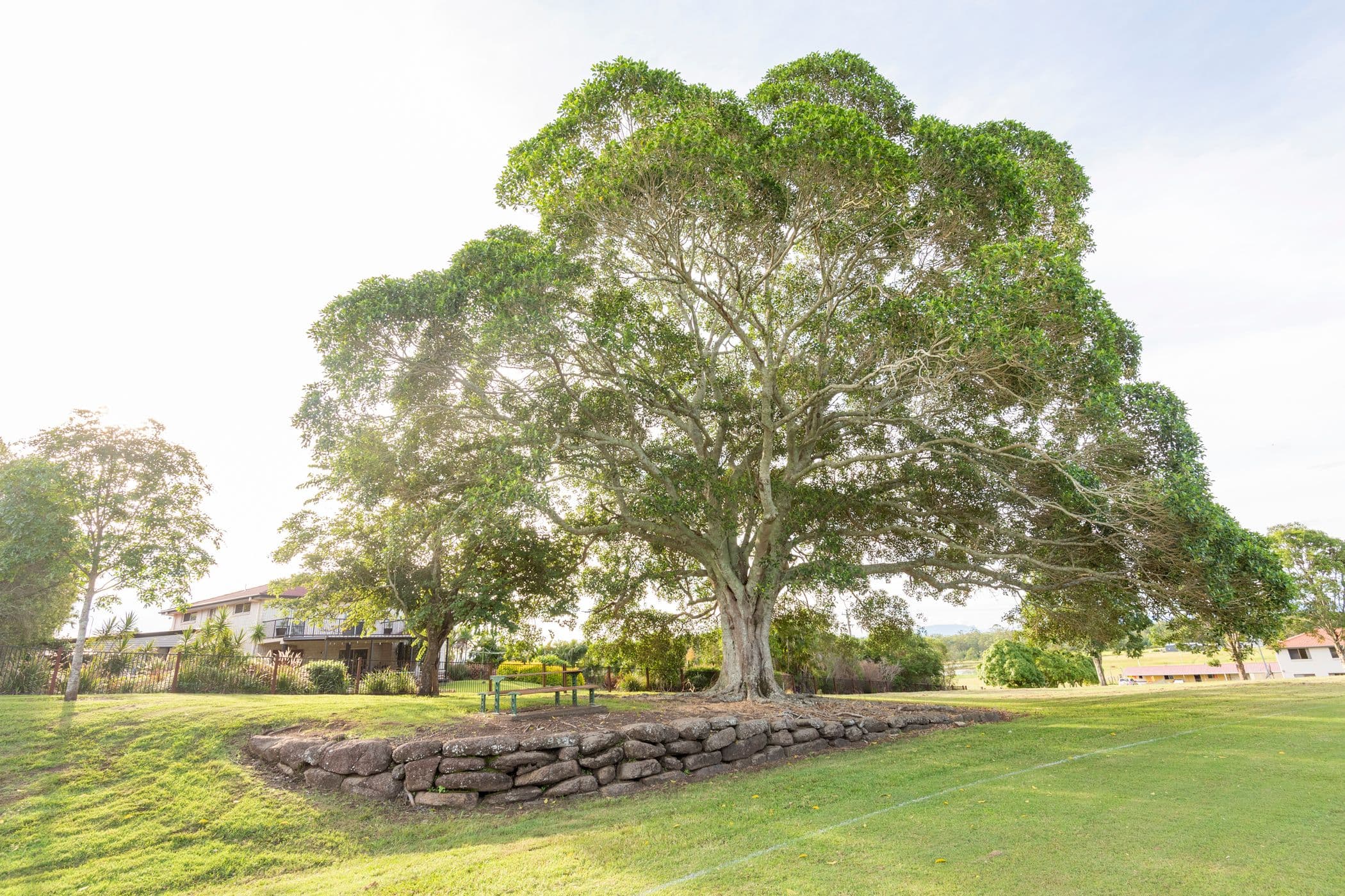 Lot 609 Bottlebrush Place, CANIABA NSW 2480, Caniaba - Thumbnail 4