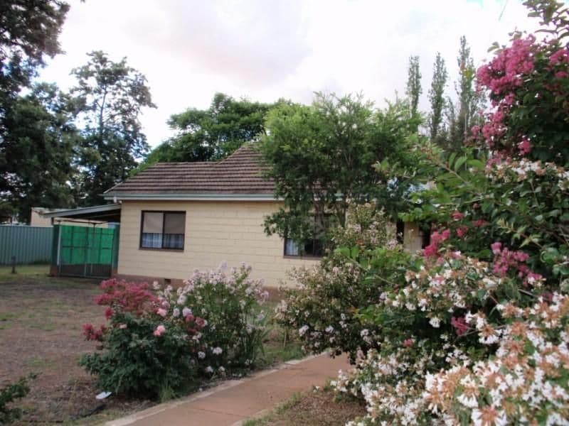 16 Bathurst Street, FORBES NSW 2871, Forbes - Image 1