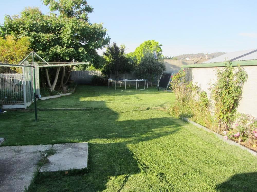 442 Hall Avenue, LAVINGTON NSW 2641, Lavington - Thumbnail 5