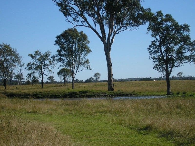WIVENHOE POCKET QLD 4306, Wivenhoe Pocket - Thumbnail 5