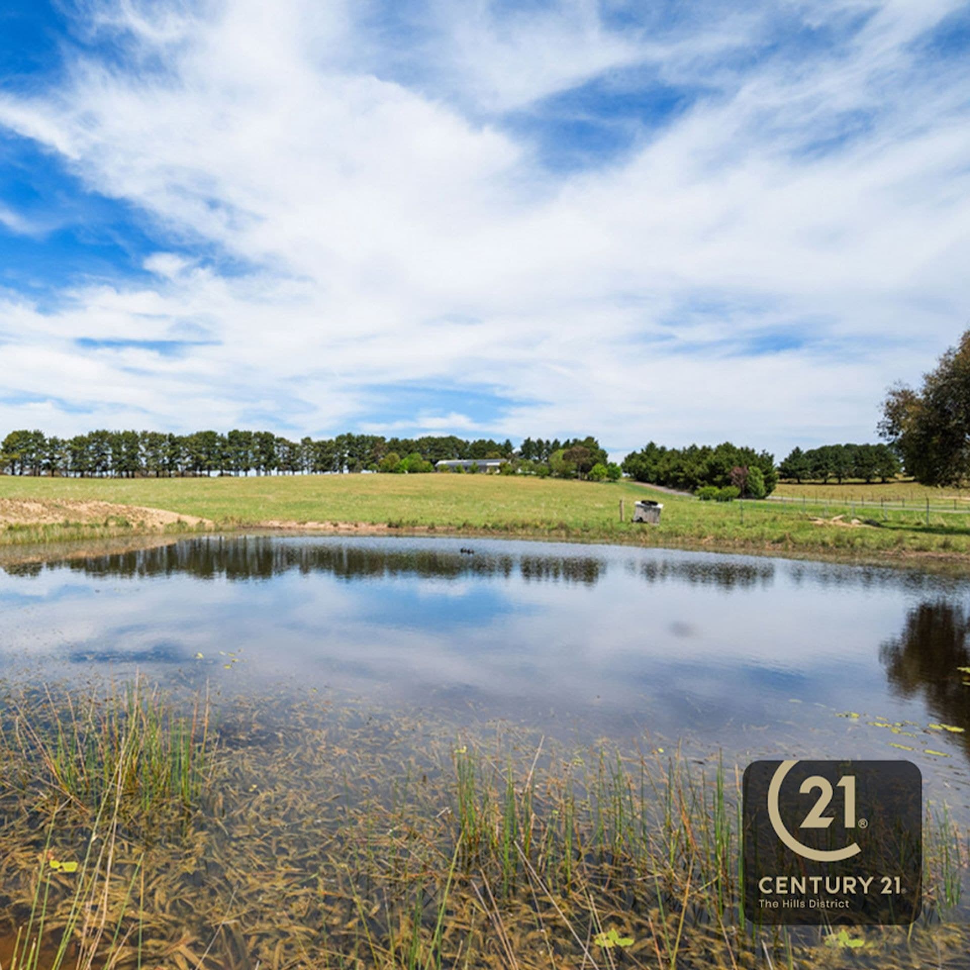 87 Millynn Road, Bywong, NSW, 2621, Bywong - Thumbnail 6