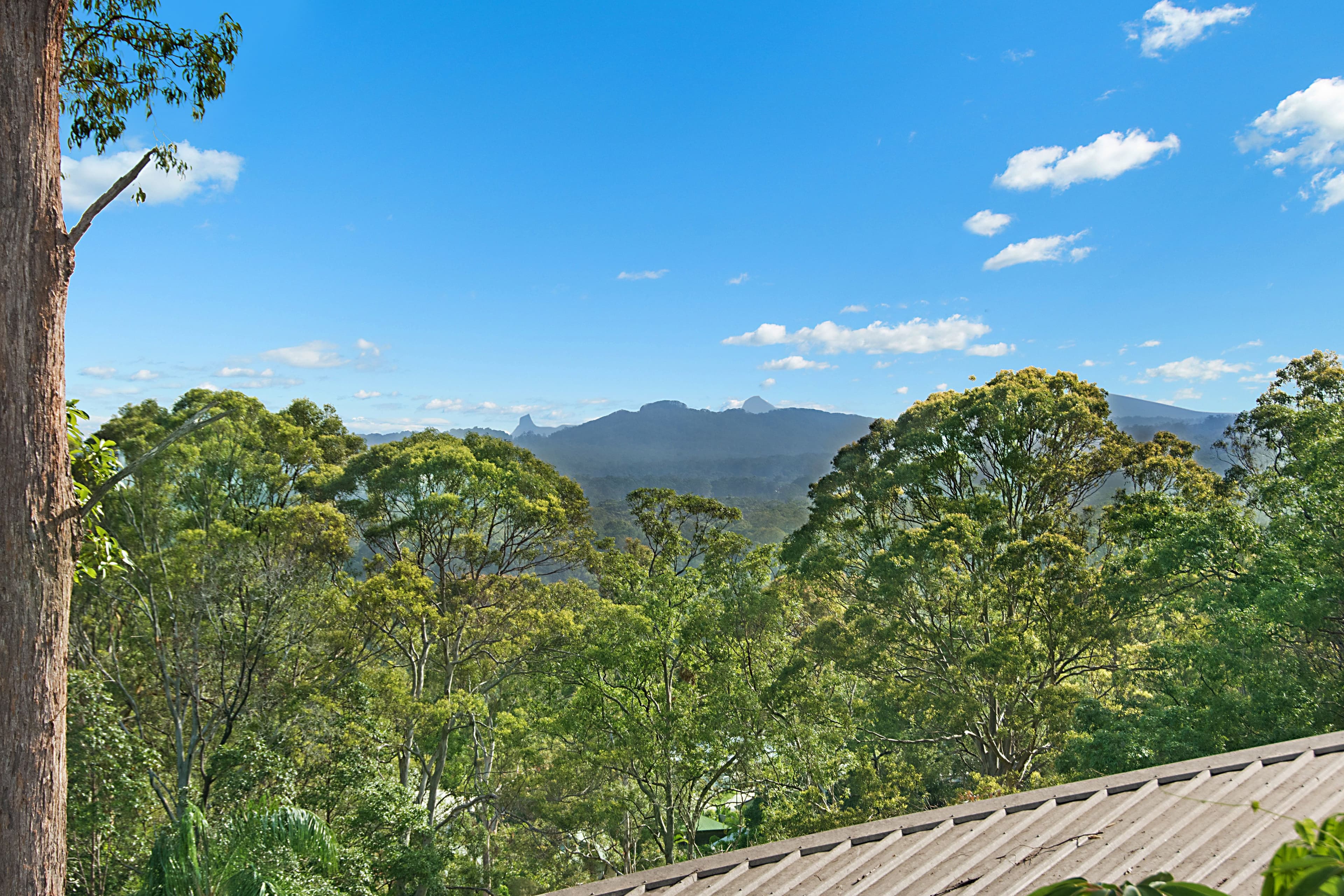 80 Dixon Road, Buderim QLD 4556, Buderim - Thumbnail 2
