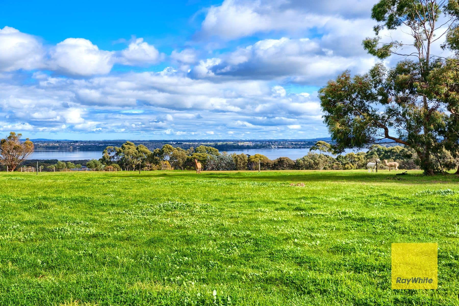 134 Gull Rock Road, Kalgan WA 6330, Kalgan - Thumbnail 3