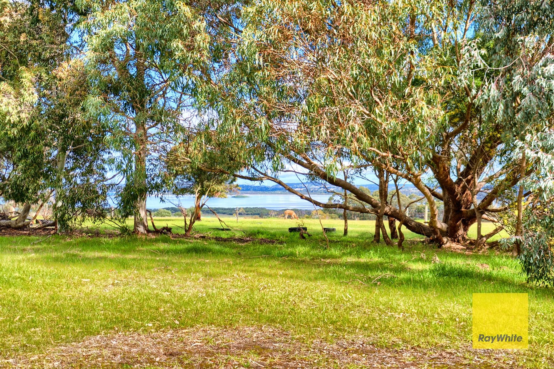 134 Gull Rock Road, Kalgan WA 6330, Kalgan - Thumbnail 4