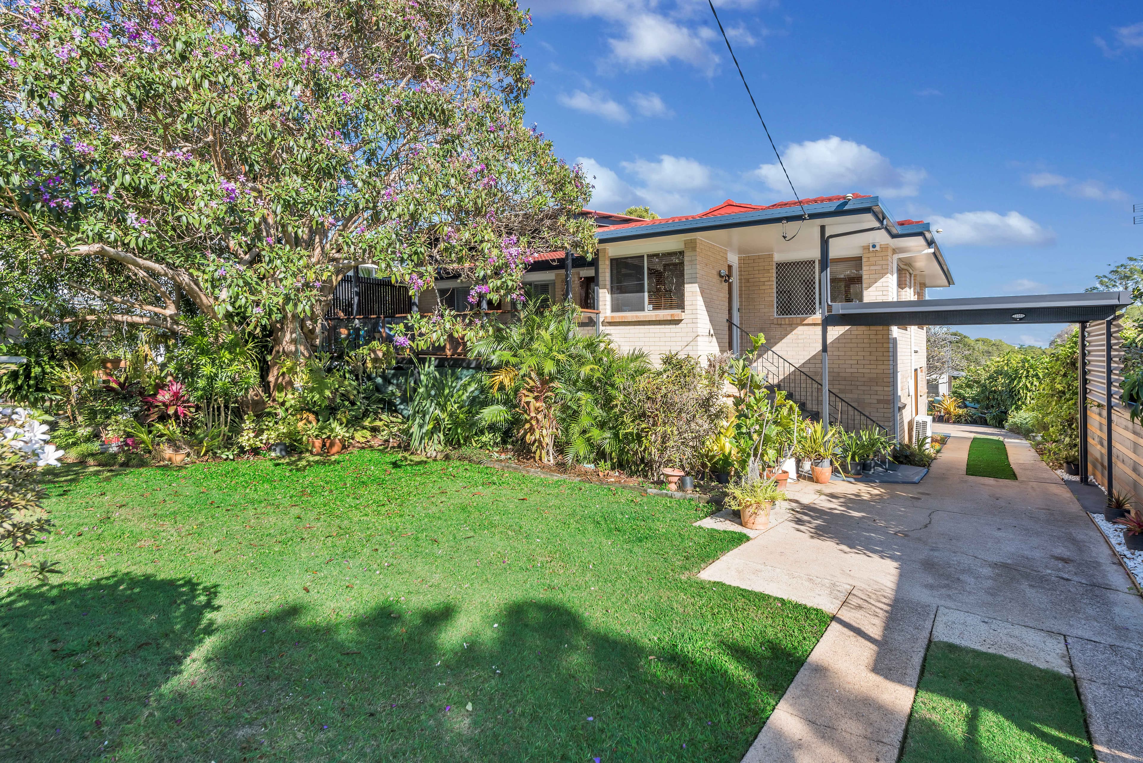 14 Elizabeth Street, Buderim QLD 4556, Buderim - Thumbnail 7