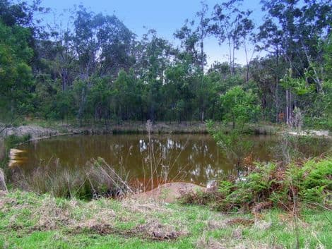 Lot 101 Putty Road, HOWES VALLEY NSW 2330, Howes Valley - Thumbnail 2