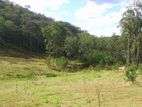Lot 101 Putty Road, HOWES VALLEY NSW 2330, Howes Valley - Thumbnail 4