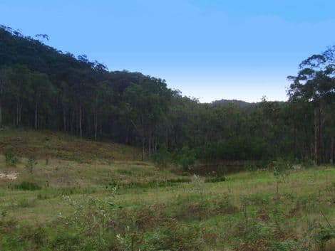 Lot 101 Putty Road, HOWES VALLEY NSW 2330, Howes Valley - Thumbnail 5