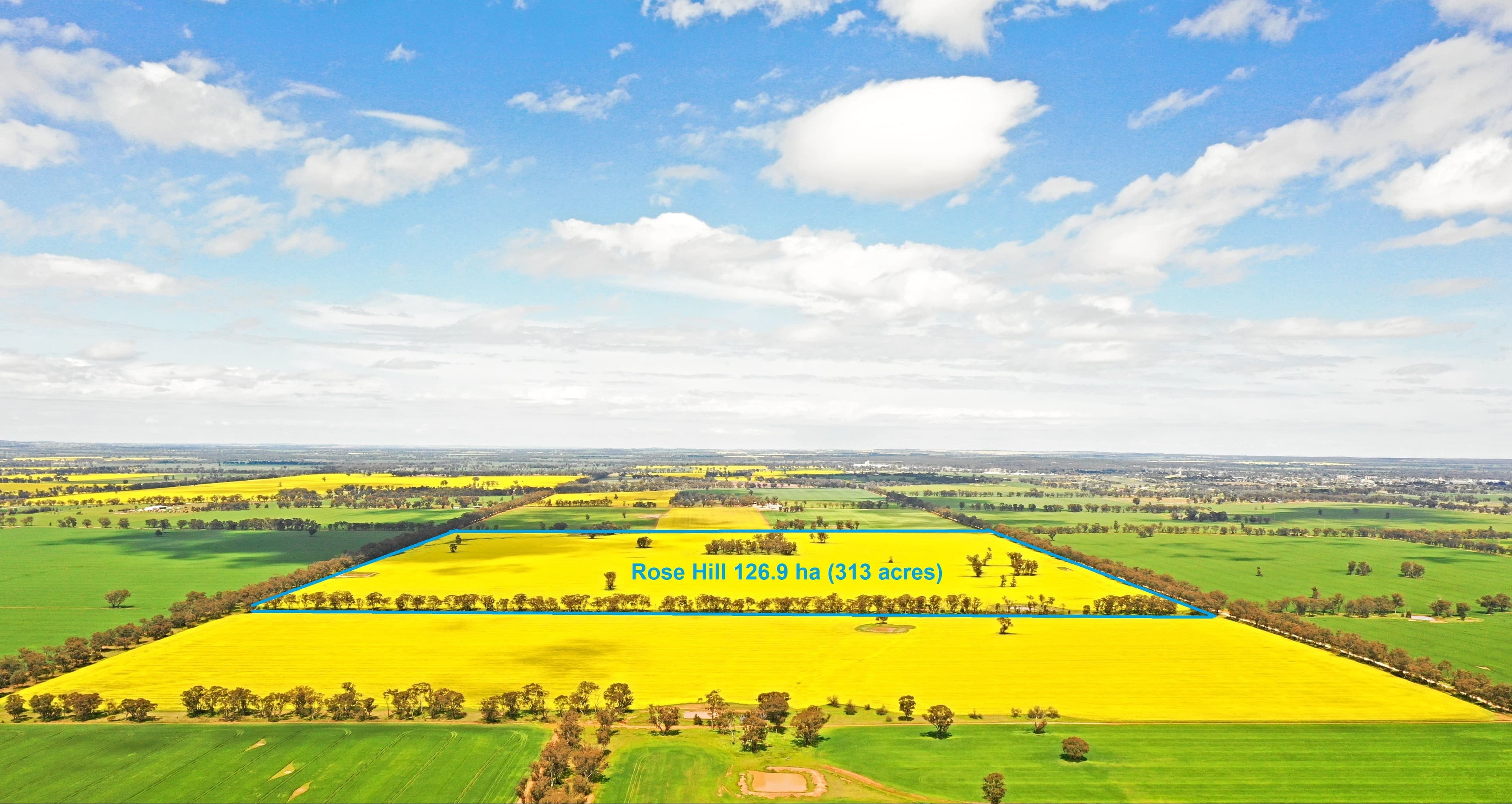201 Brays Road, Temora NSW 2666, Temora - Thumbnail 2