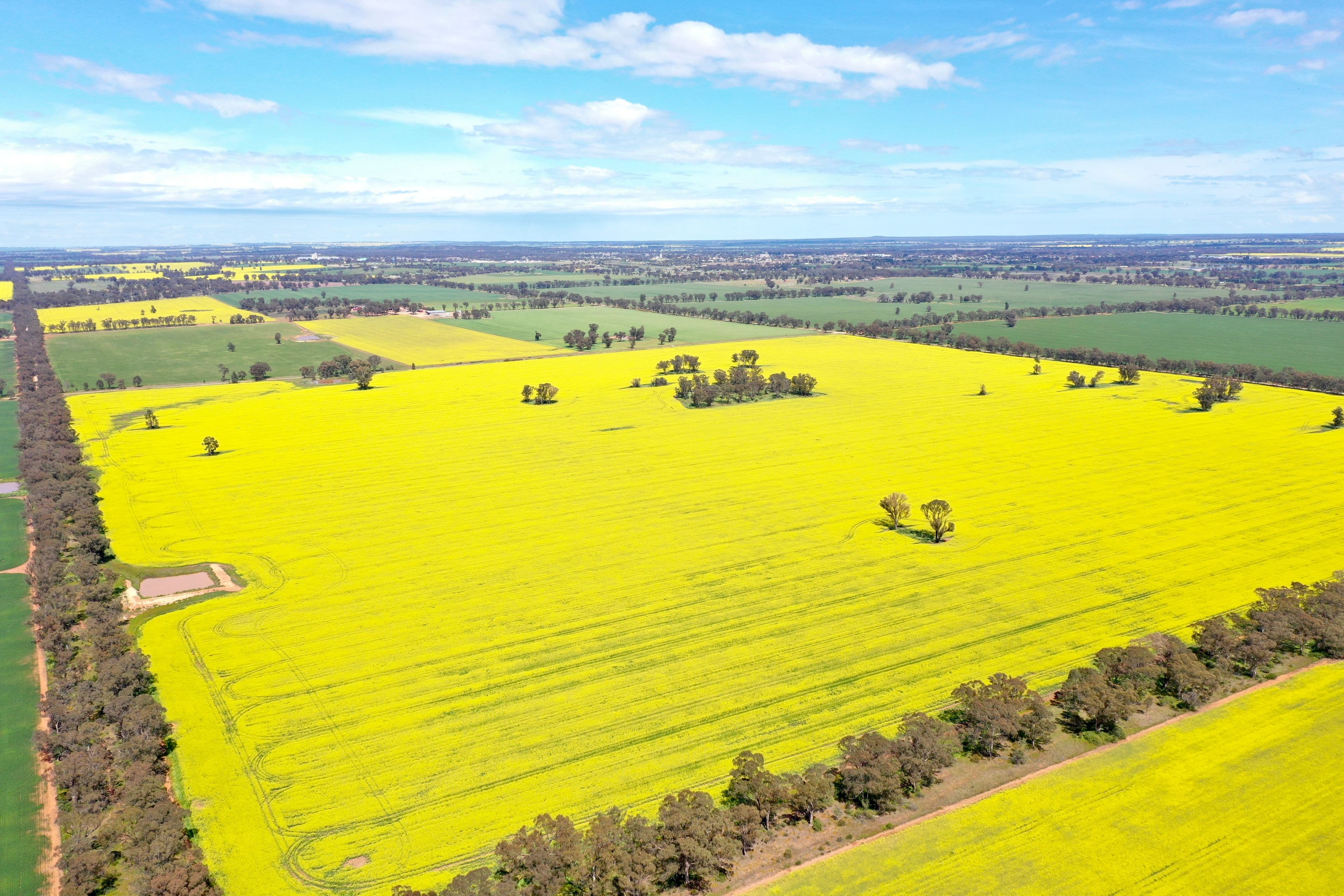 201 Brays Road, Temora NSW 2666, Temora - Thumbnail 3