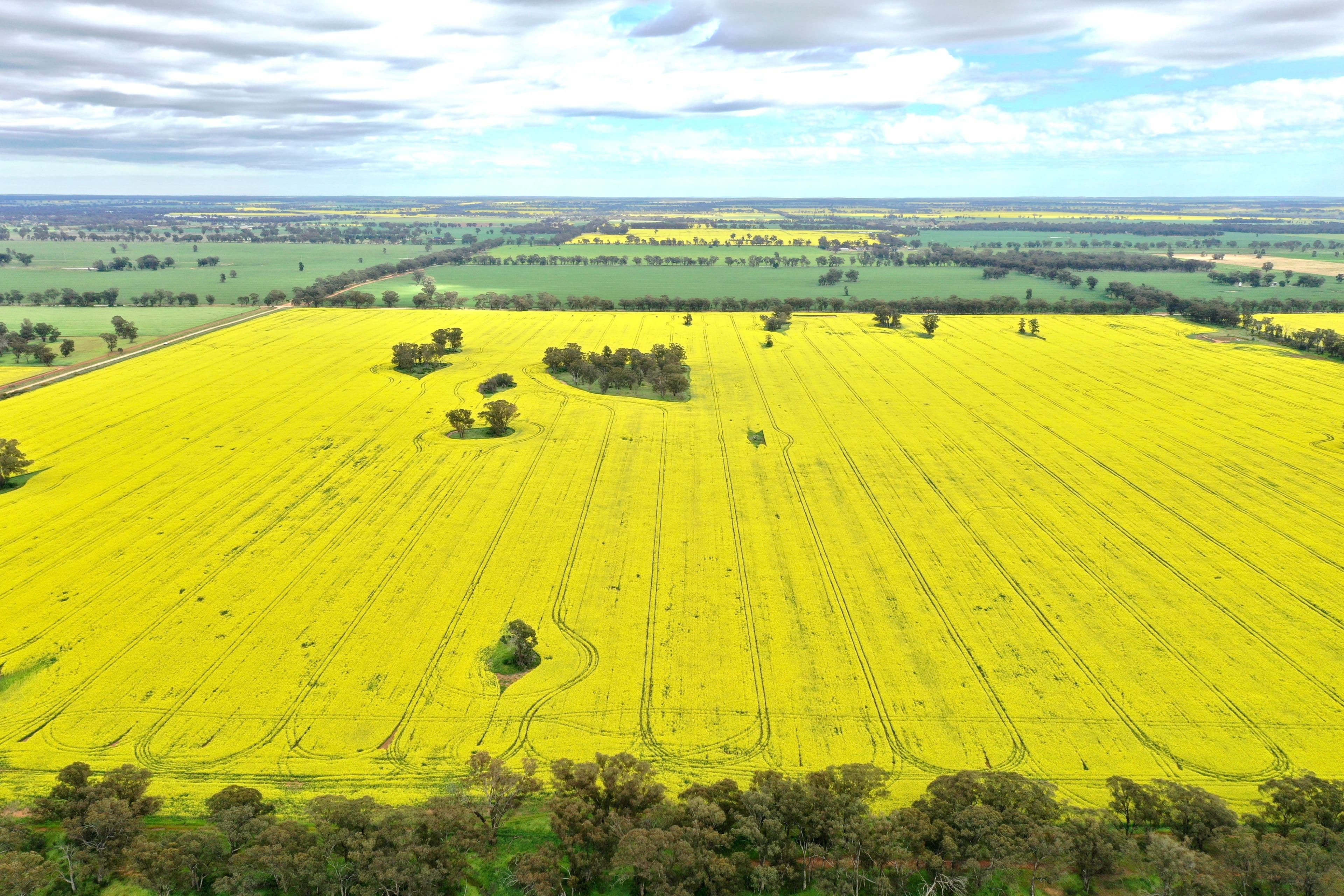 201 Brays Road, Temora NSW 2666, Temora - Thumbnail 5