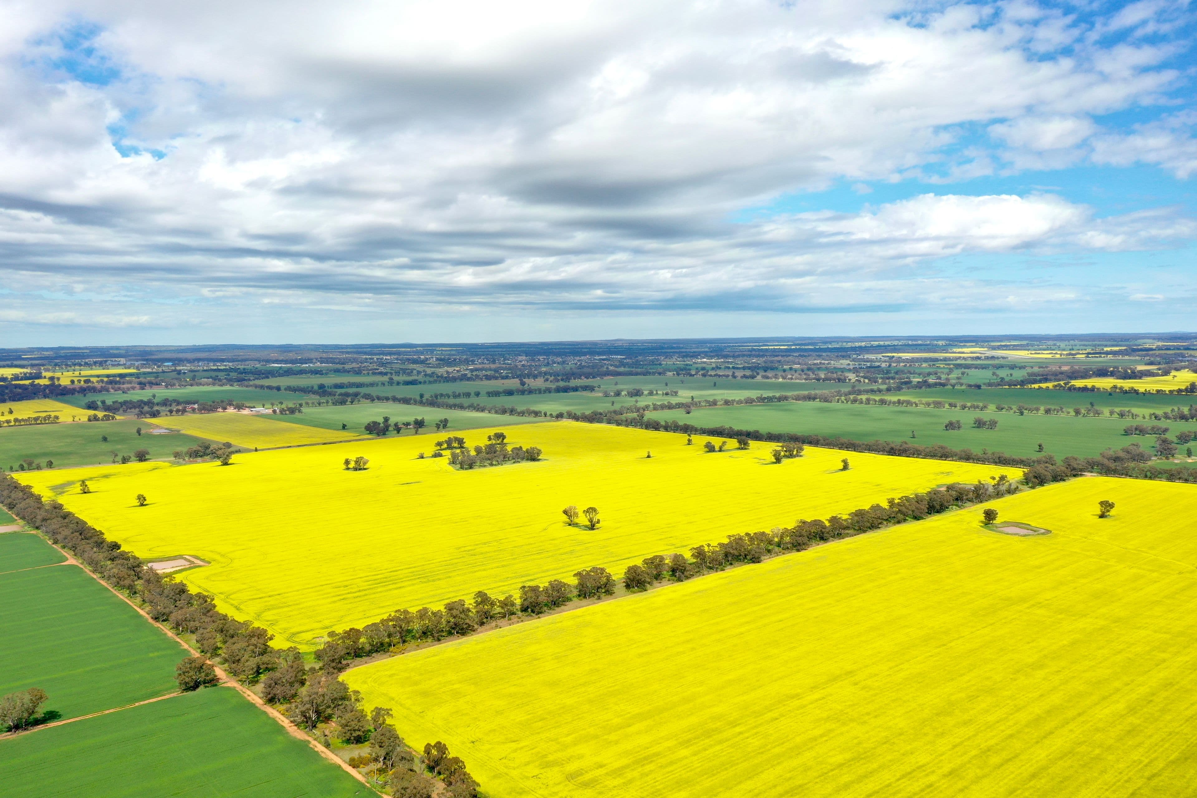 201 Brays Road, Temora NSW 2666, Temora - Thumbnail 6