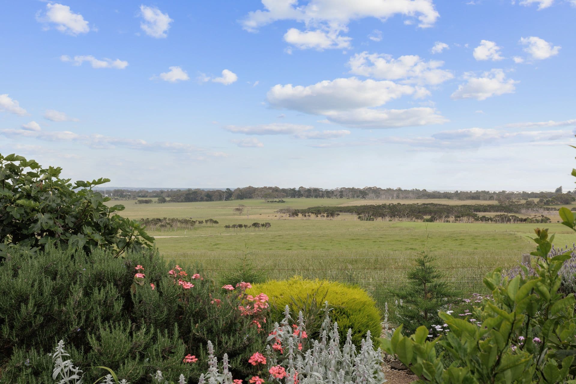 22 Kramer Rise, Wimbledon Heights VIC 3922, Wimbledon Heights - Thumbnail 2