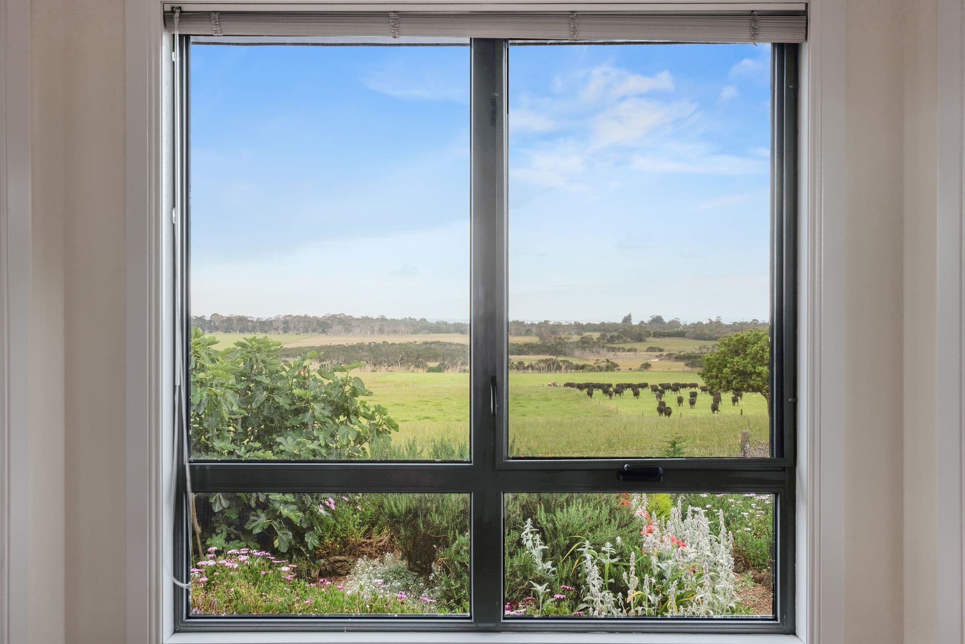 22 Kramer Rise, Wimbledon Heights VIC 3922, Wimbledon Heights - Thumbnail 6