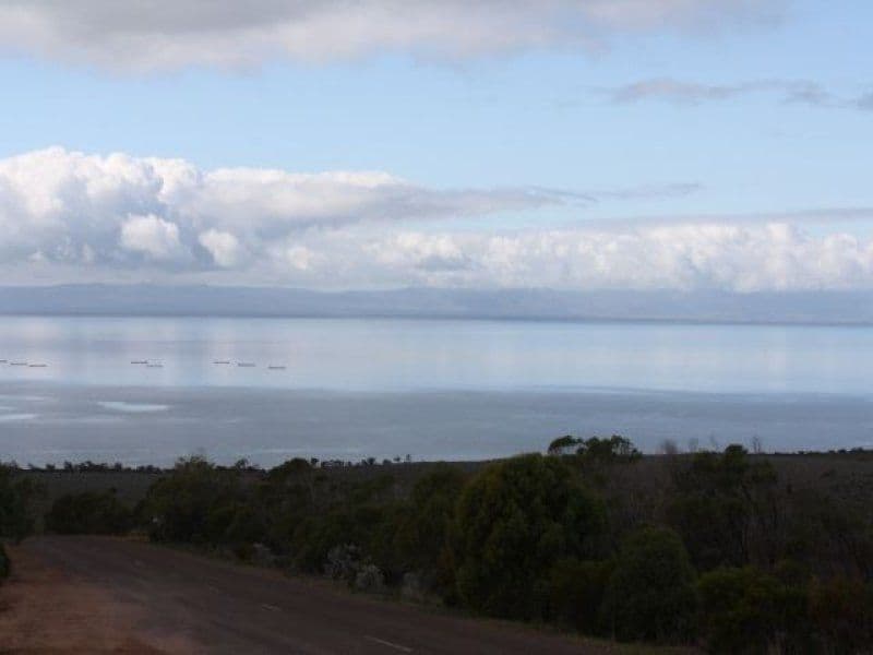 2 Fanflower Frt, Fitzgerald Bay, Whyalla SA 5600, Whyalla - Thumbnail 4
