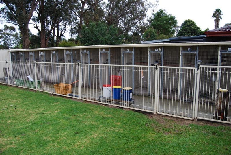 9 Cordelia Road, ARMADALE WA 6112, Armadale - Thumbnail 5