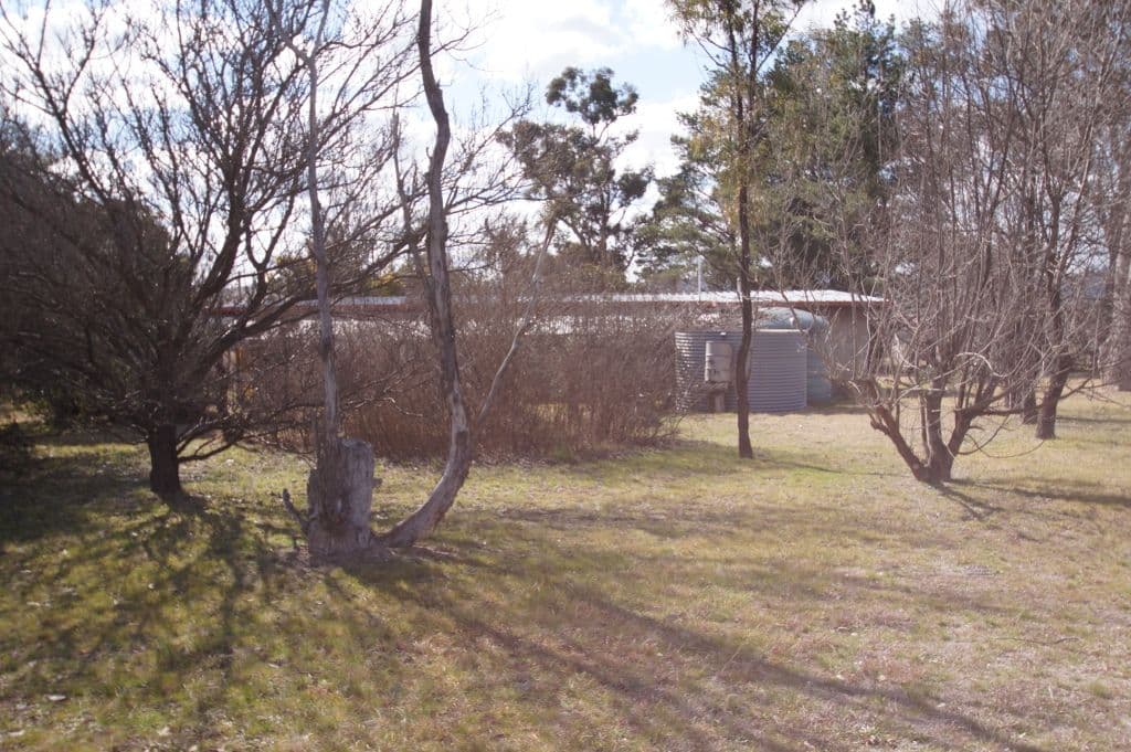 44 McCannas Road, Armidale NSW 2350, Armidale - Thumbnail 6