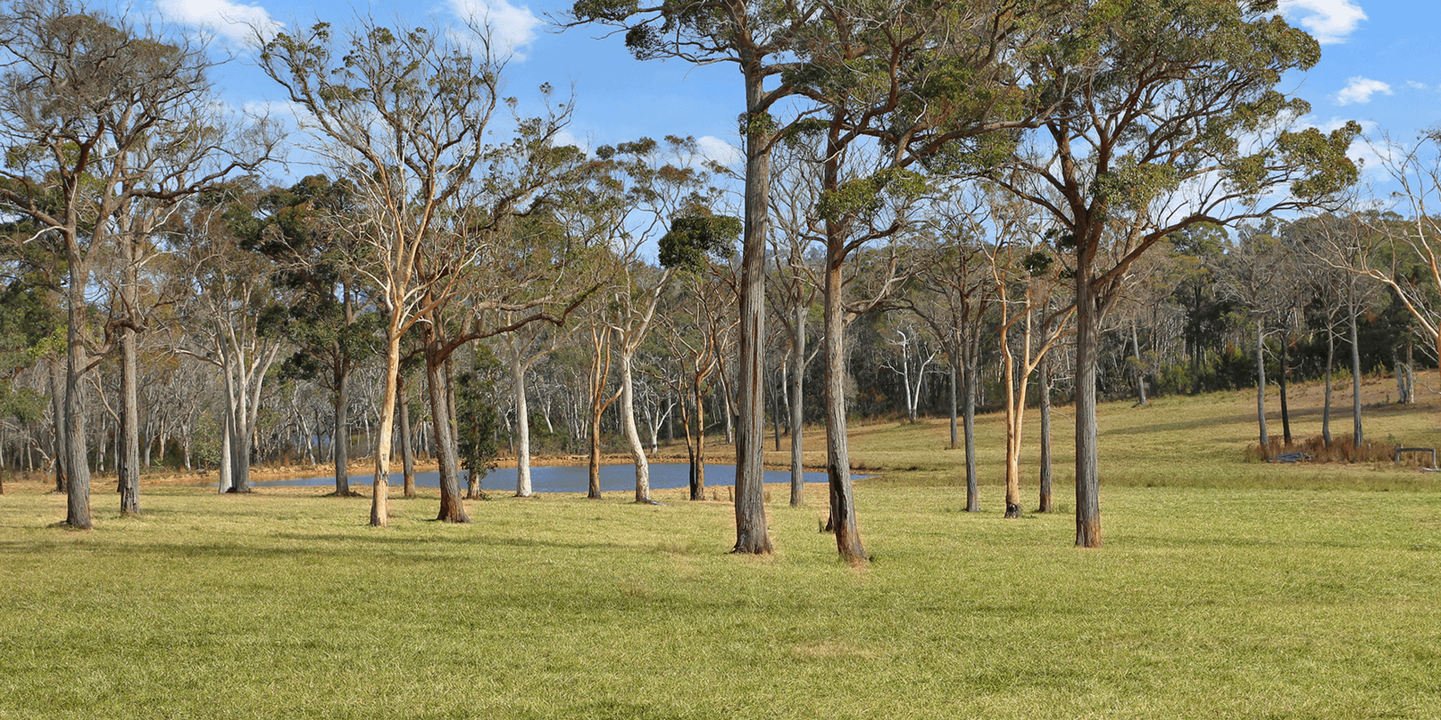273 Joadja Road Mandemar, Mandemar - Thumbnail 4