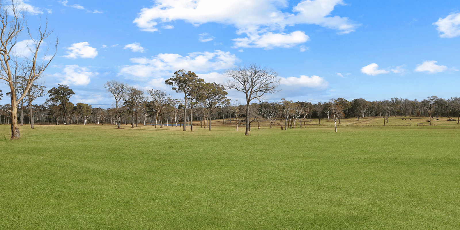273 Joadja Road Mandemar, Mandemar - Thumbnail 8