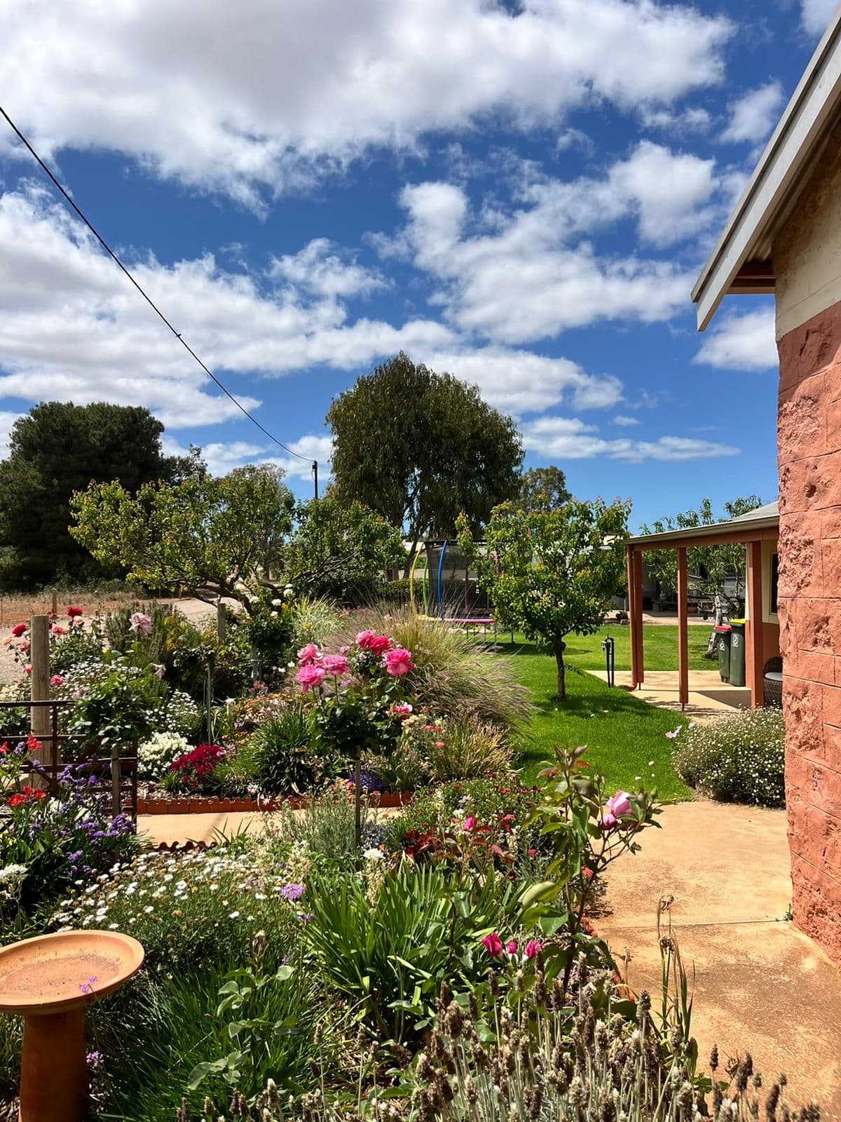 31 Sixth Street, Curramulka SA 5580, Curramulka - Thumbnail 3