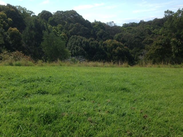 2 Tallowood Terrace, Currumbin Valley QLD 4223, Currumbin Valley - Thumbnail 2