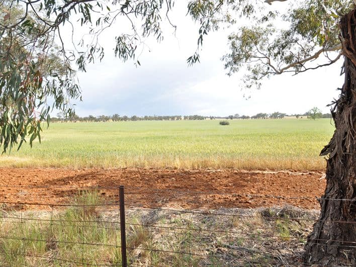 Lot 196 Broad Street, Old Junee NSW 2652, Old Junee - Image 1