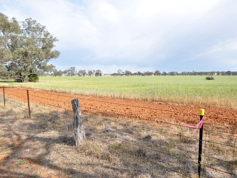 Lot 196 Broad Street, Old Junee NSW 2652, Old Junee - Thumbnail 2