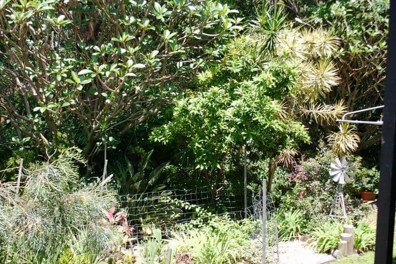 9 Alcester Street, GRANGE QLD 4051, Grange - Thumbnail 8