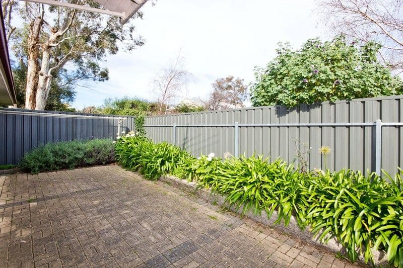 18 East Terrace, KENSINGTON GARDENS SA 5068, Kensington Gardens - Thumbnail 8