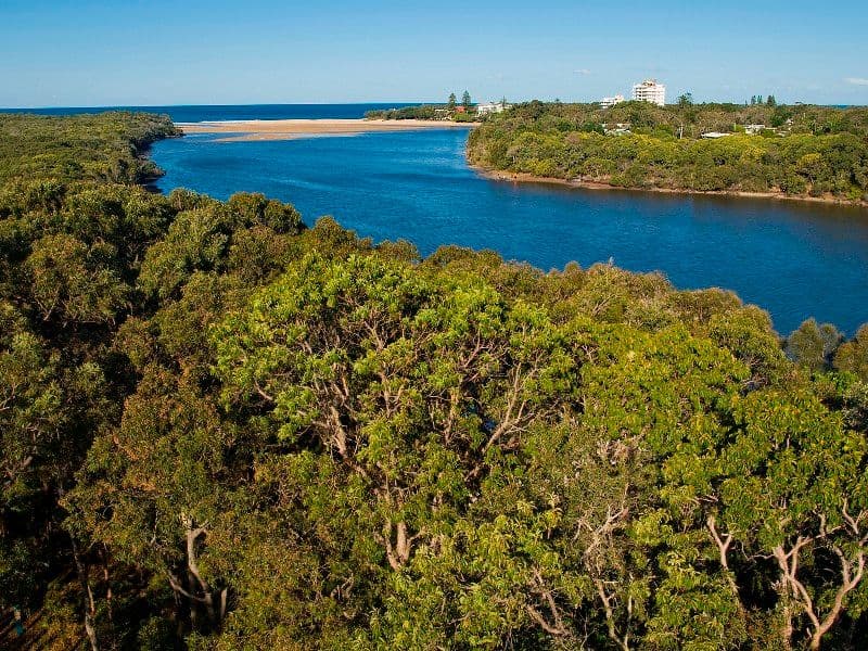 31 Mandara Drive, WURTULLA QLD 4575, Wurtulla - Thumbnail 2