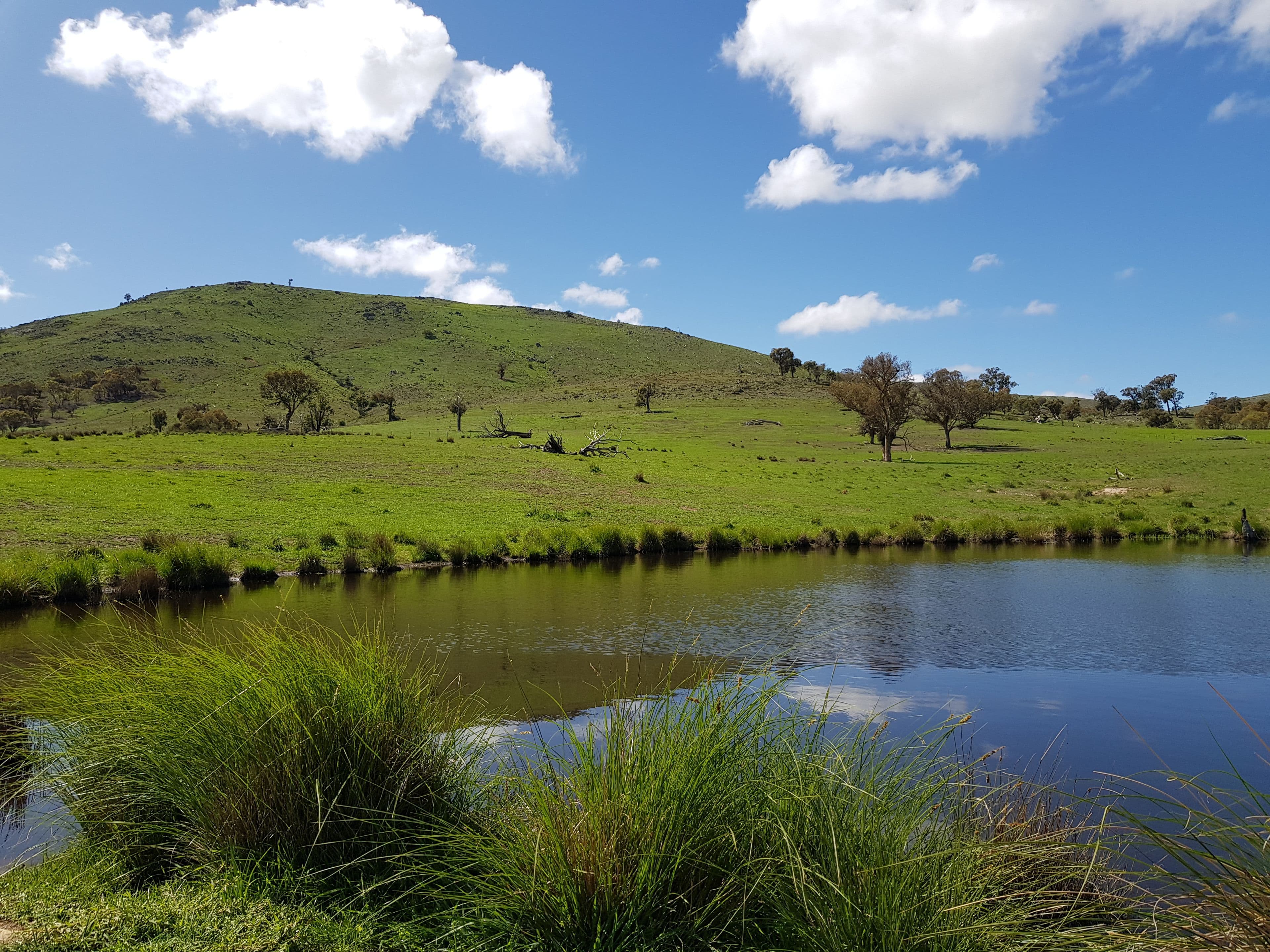 418 Nanima Road, Springrange NSW 2618, Springrange - Image 1