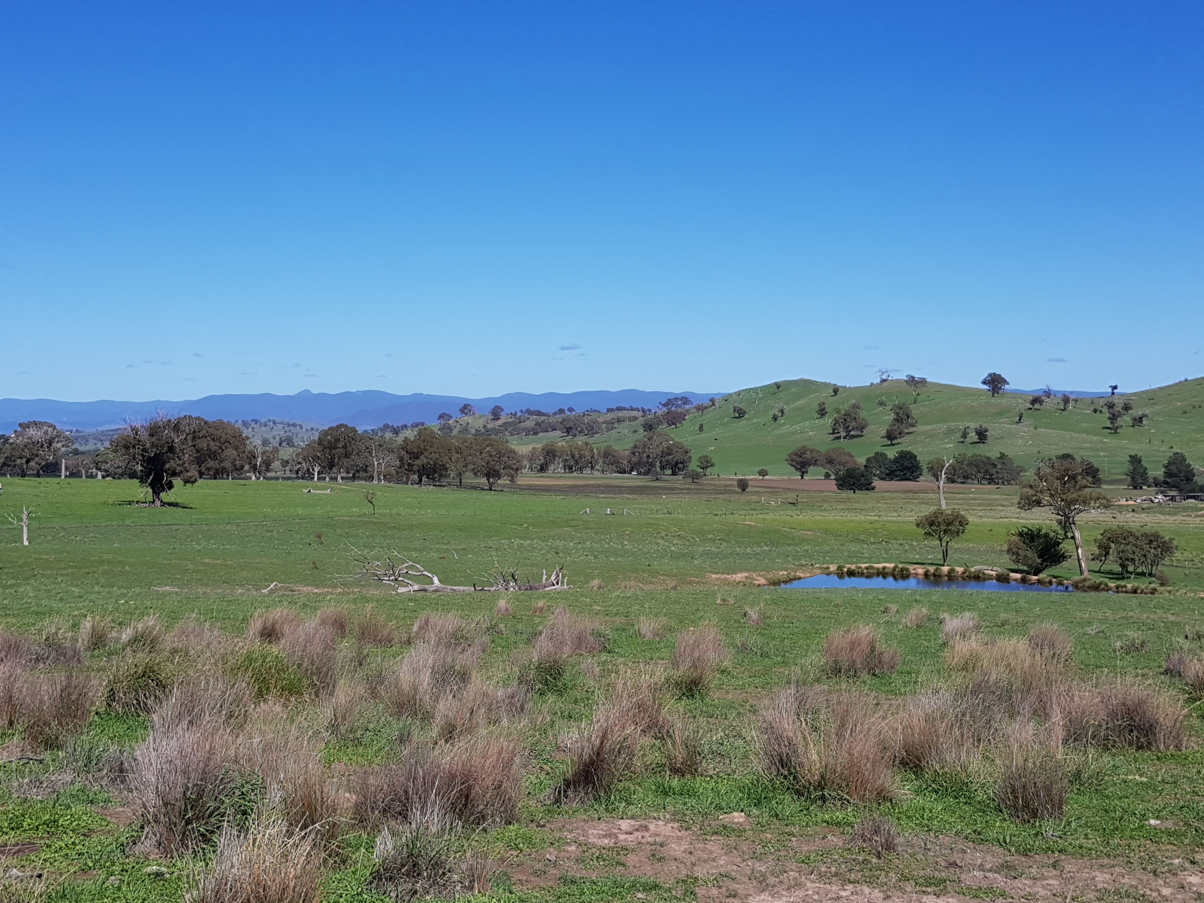 418 Nanima Road, Springrange NSW 2618, Springrange - Thumbnail 3