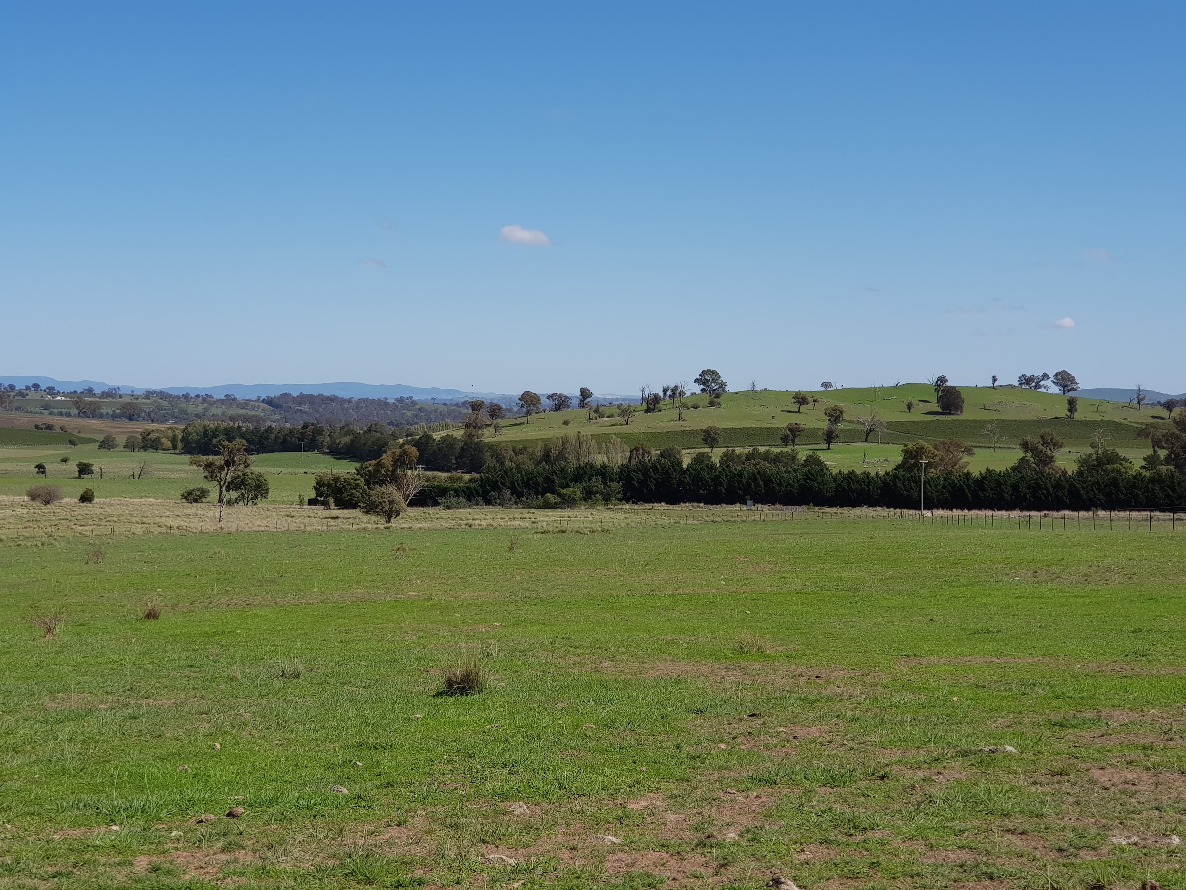 418 Nanima Road, Springrange NSW 2618, Springrange - Thumbnail 4