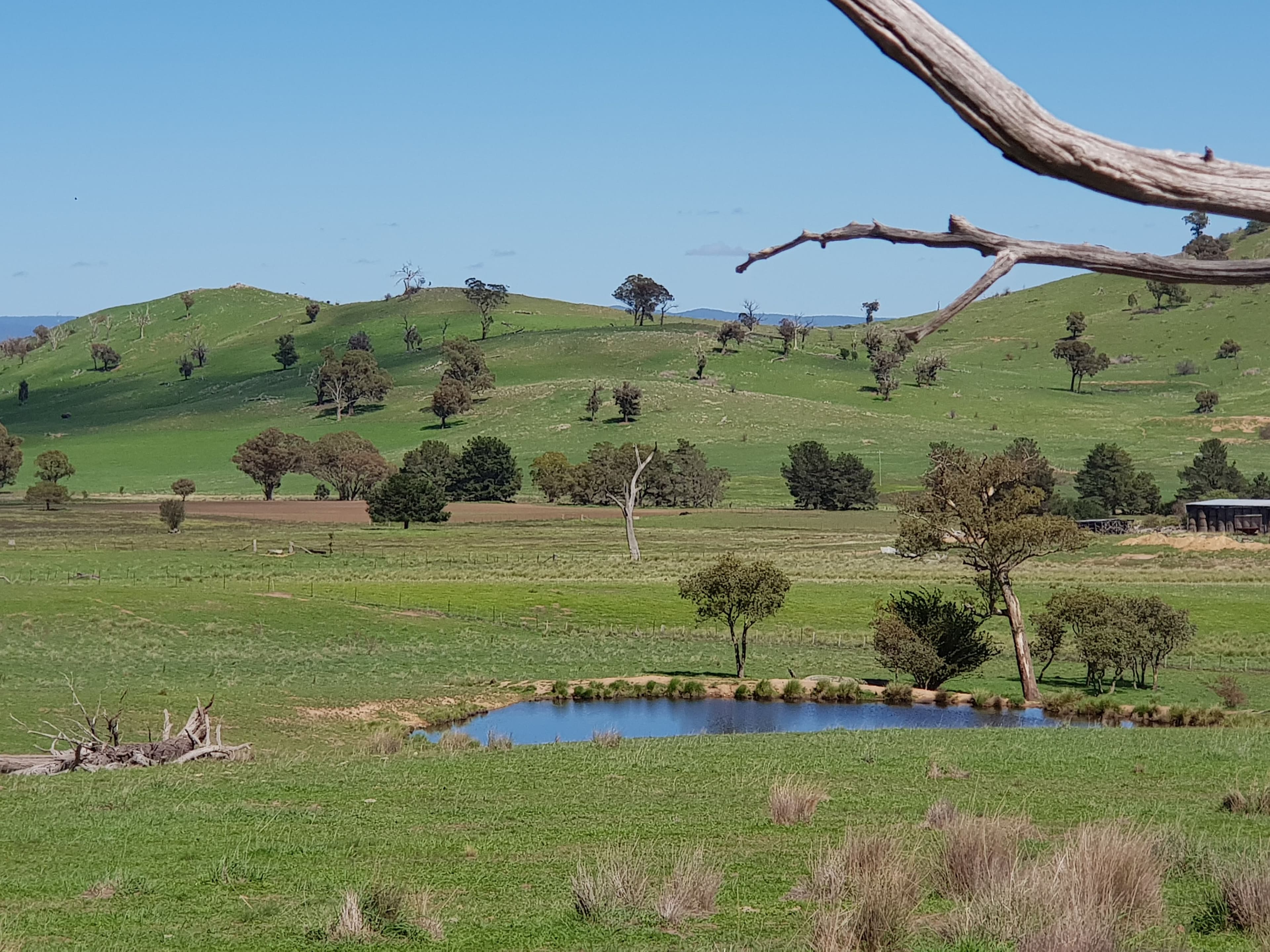 418 Nanima Road, Springrange NSW 2618, Springrange - Thumbnail 5