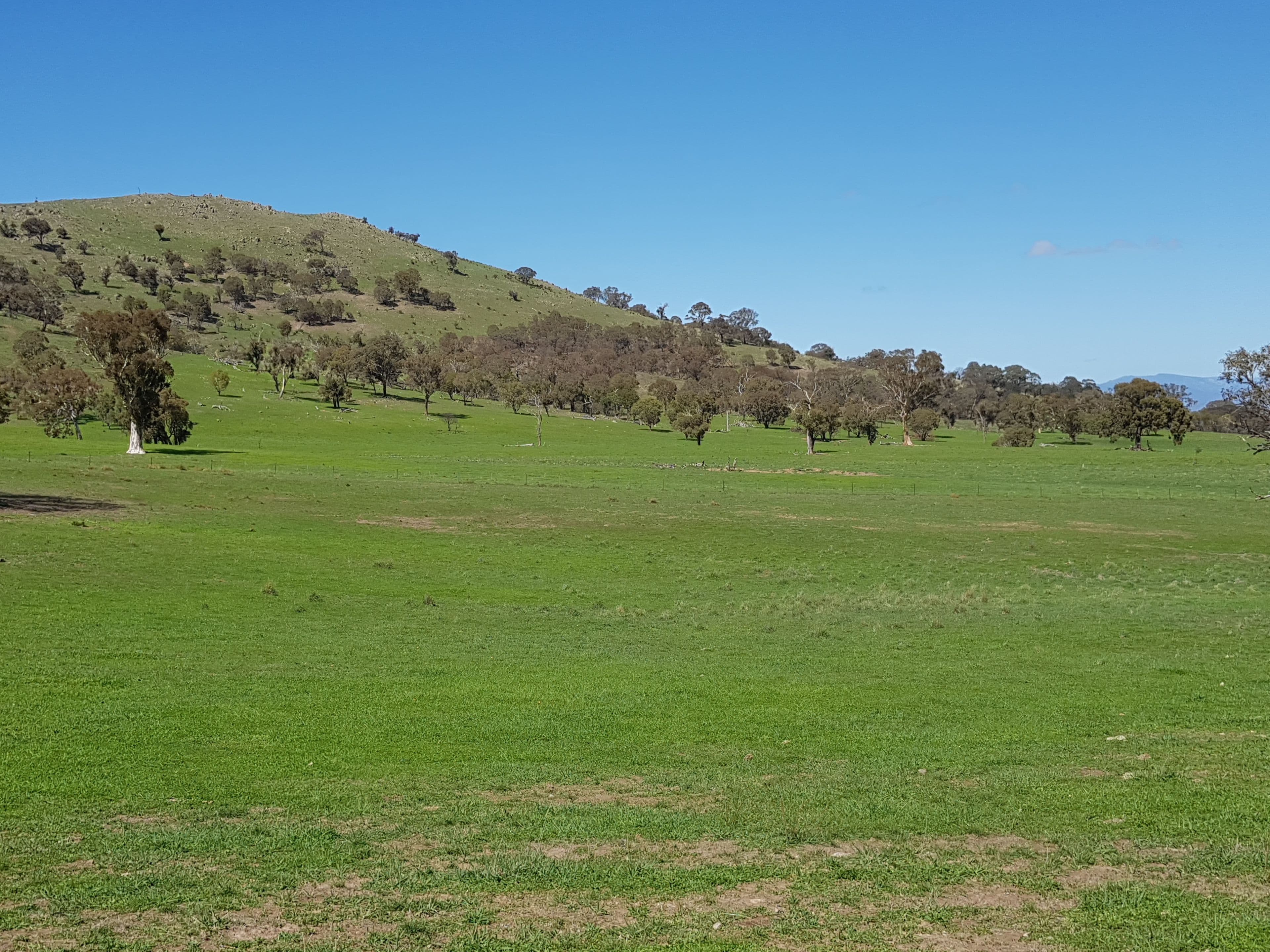 418 Nanima Road, Springrange NSW 2618, Springrange - Thumbnail 6