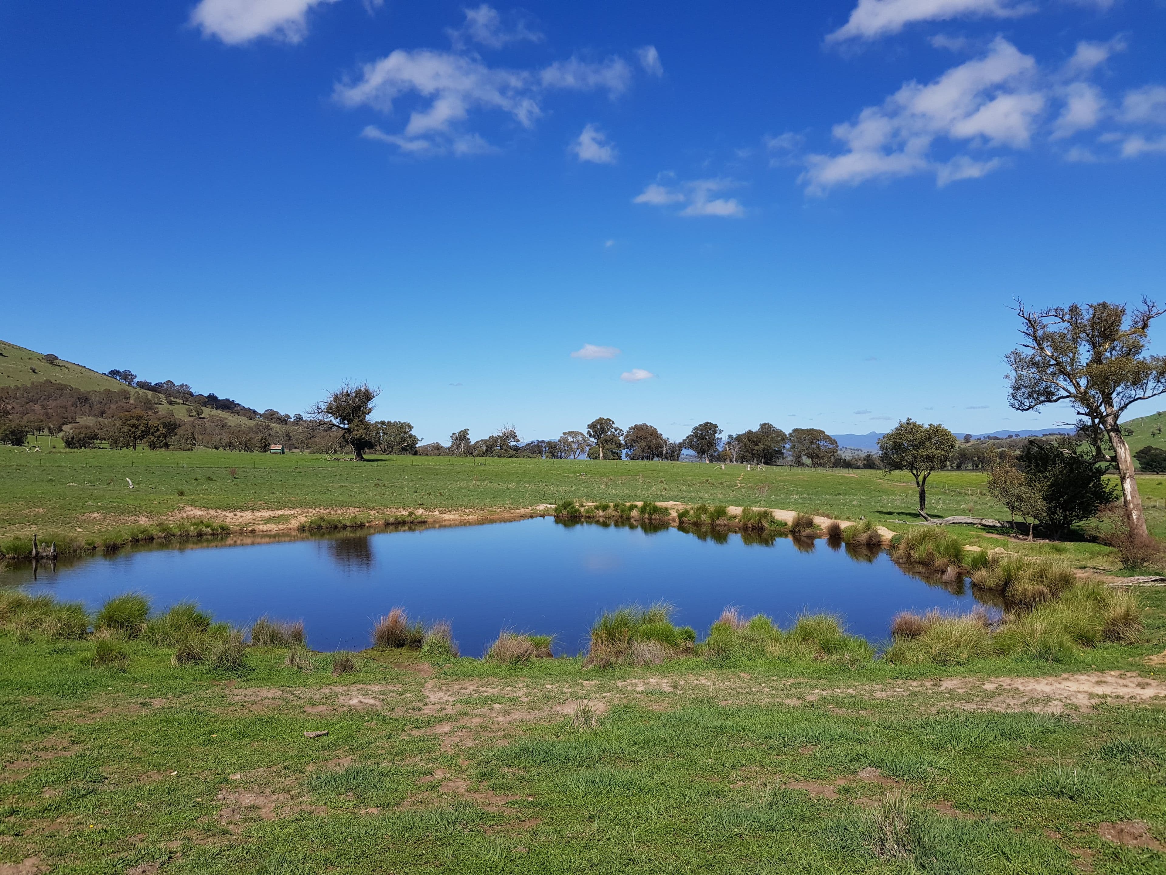 418 Nanima Road, Springrange NSW 2618, Springrange - Thumbnail 7