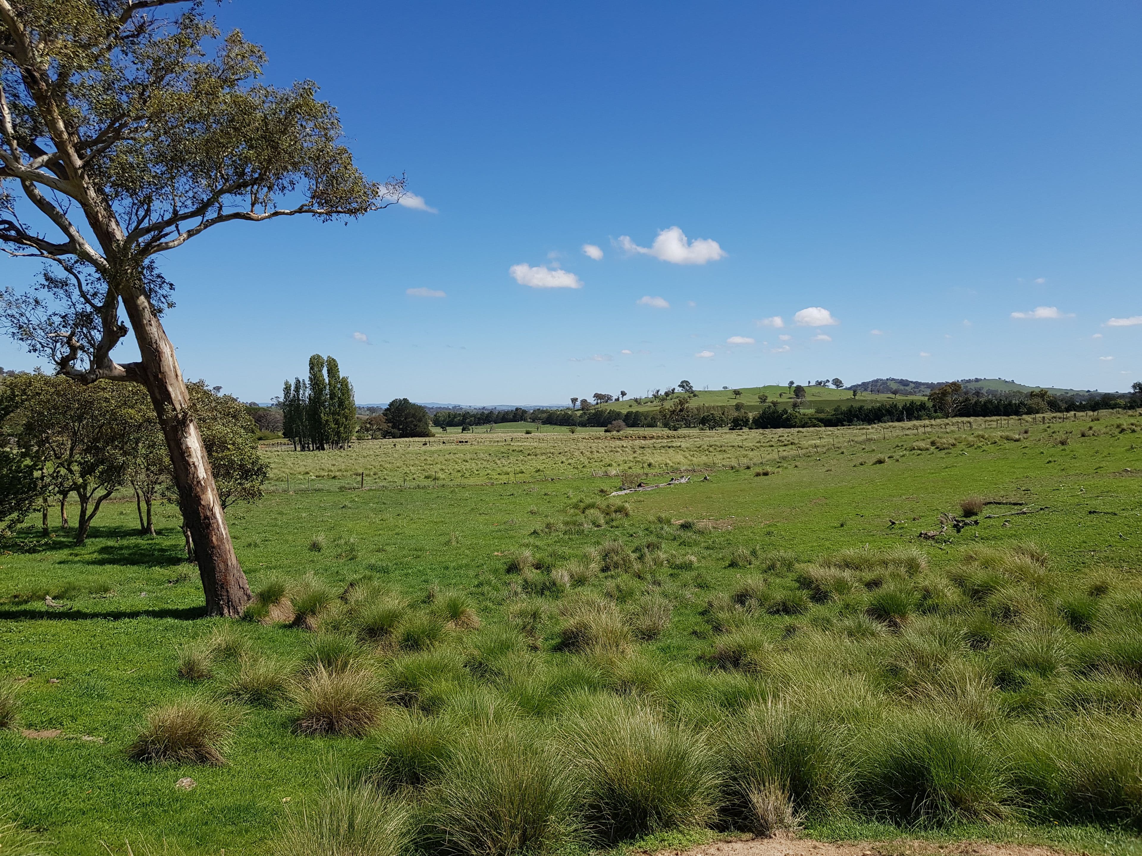 418 Nanima Road, Springrange NSW 2618, Springrange - Thumbnail 8