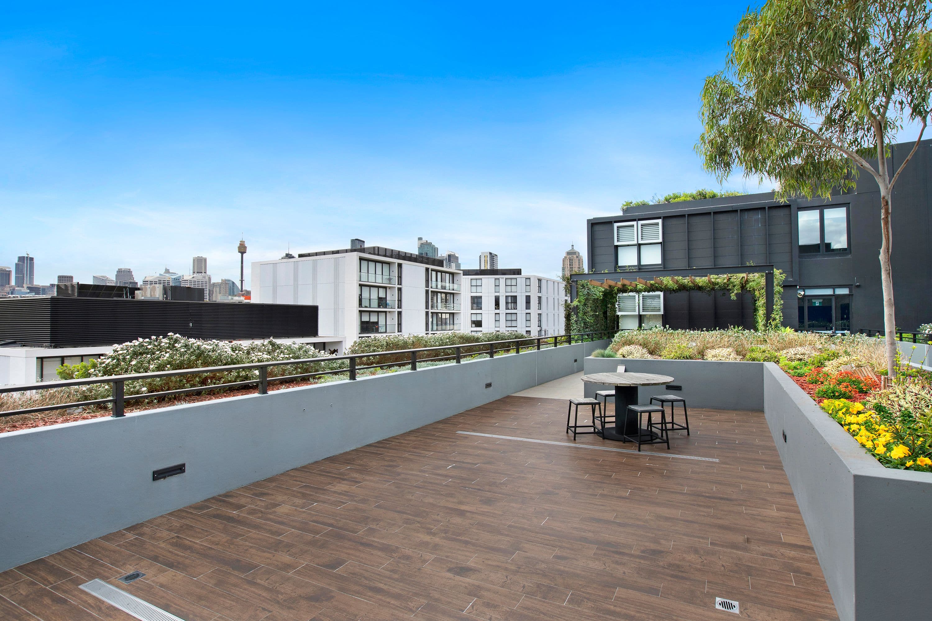 1 Stirling Street, Glebe NSW 2037, Glebe - Thumbnail 5