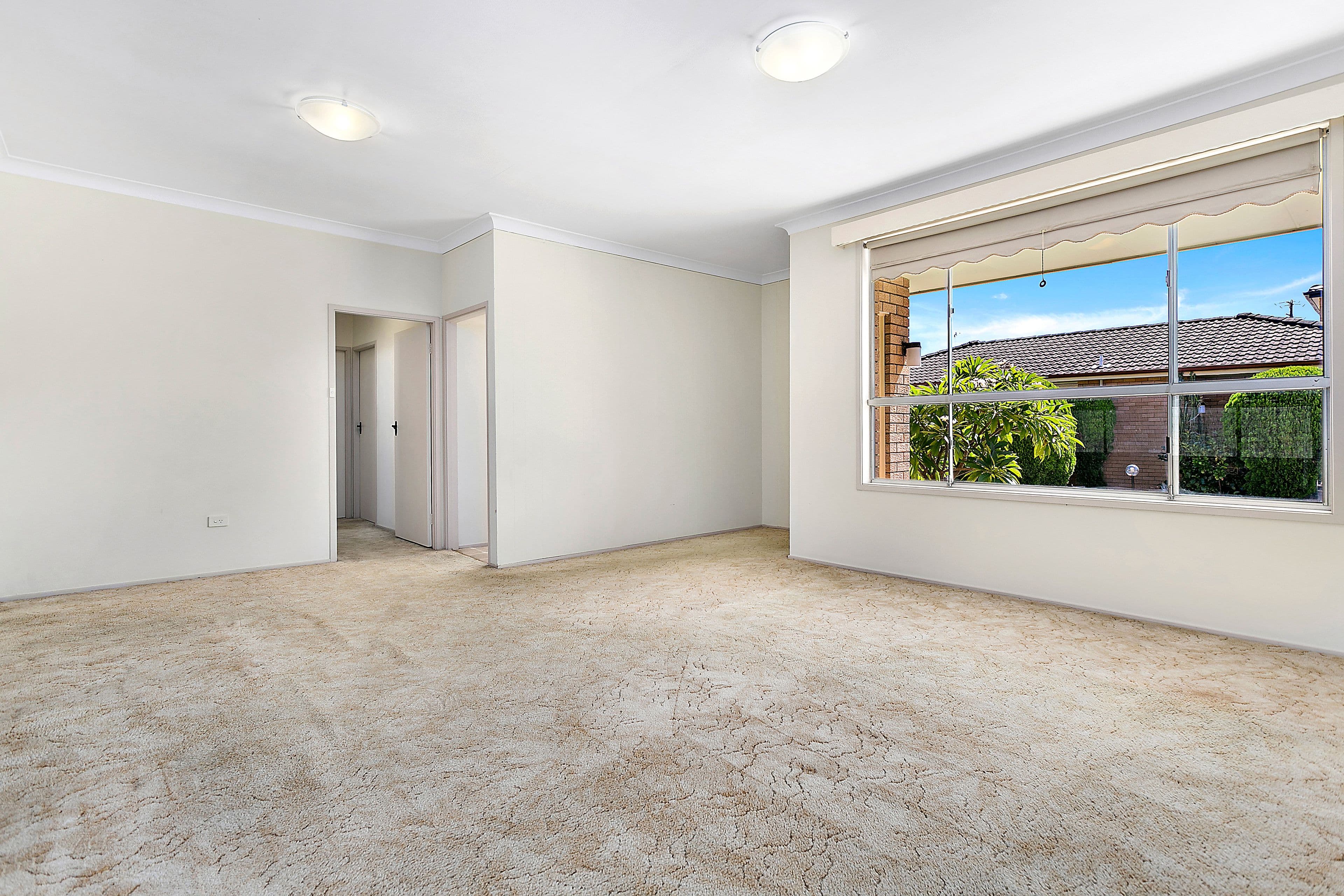 47 Preddys Road, Bexley NSW 2207, Bexley - Thumbnail 8
