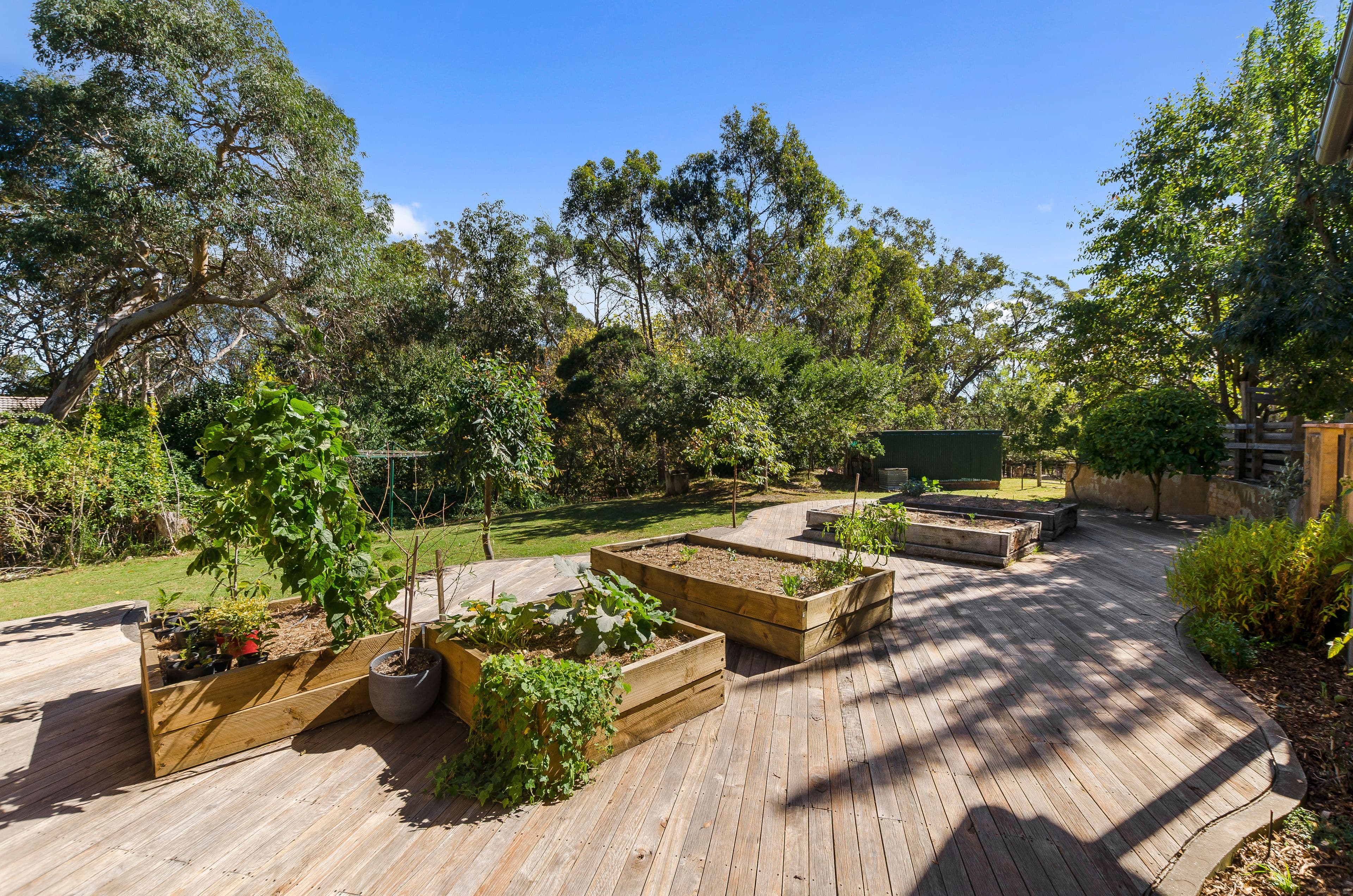 52 Pearce Street, Hill Top - Thumbnail 7