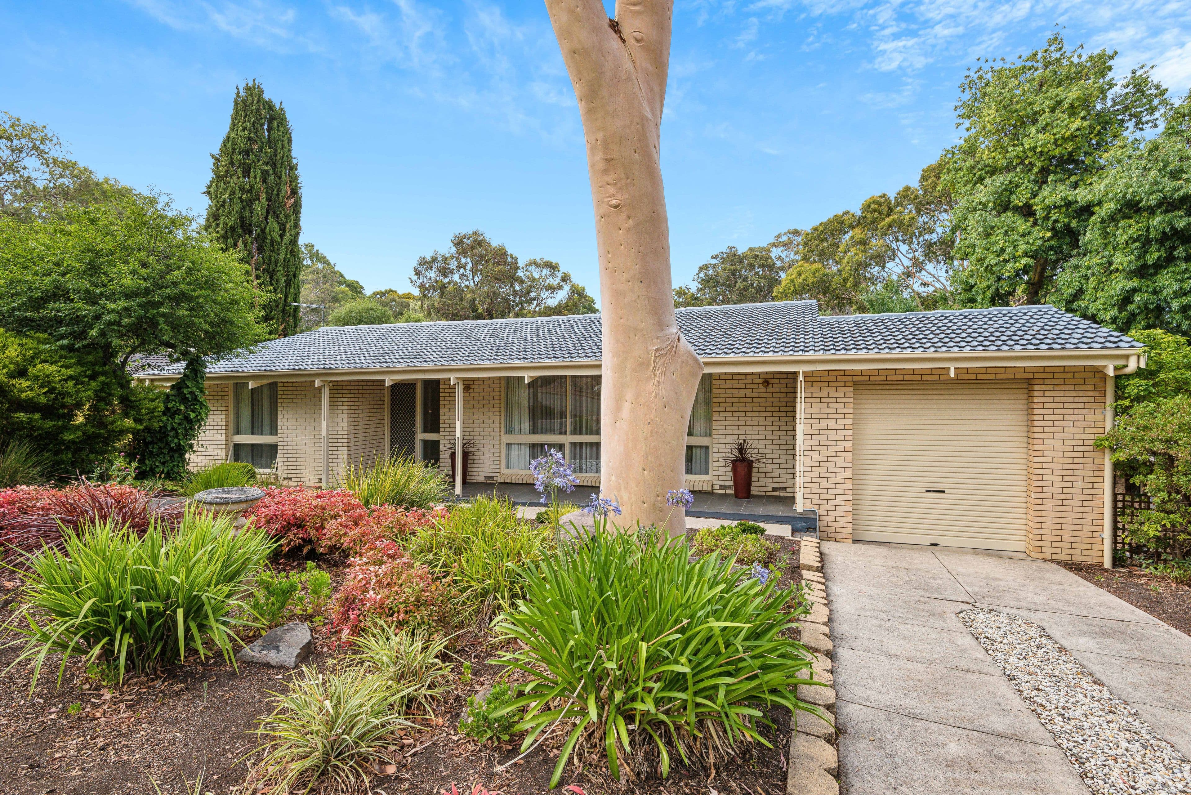 44 Alison Drive, Happy Valley SA 5159, Happy Valley - Thumbnail 2