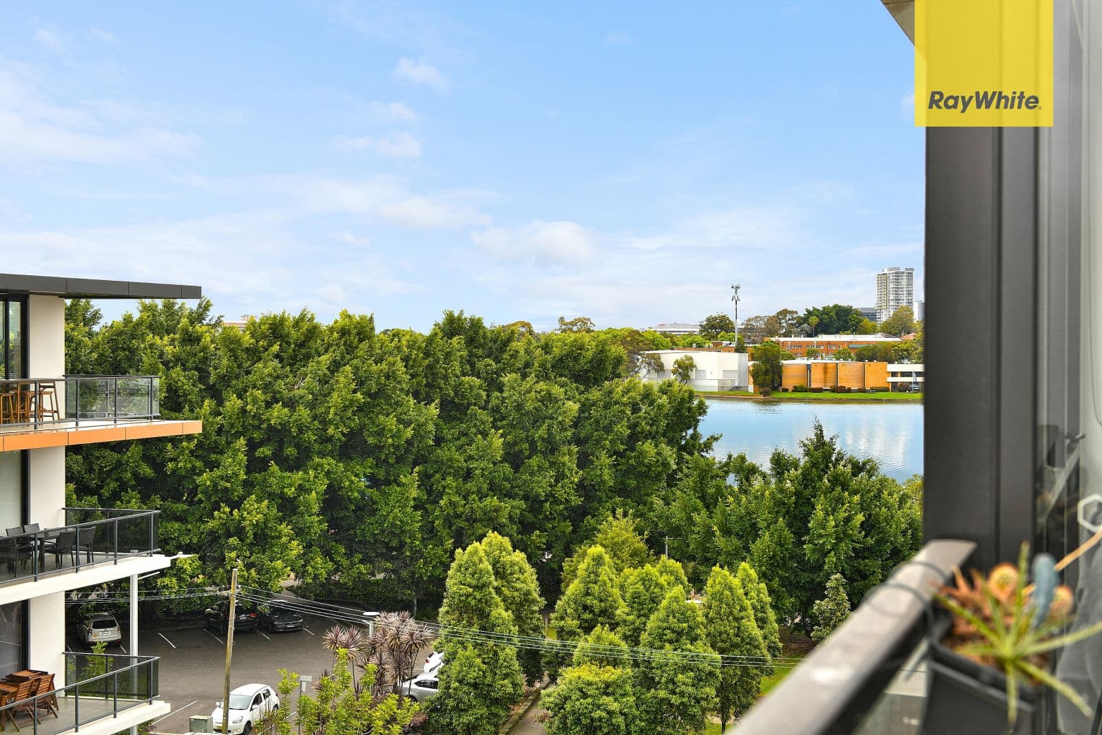 6 Nancarrow Avenue, Ryde NSW 2112, Ryde - Thumbnail 4