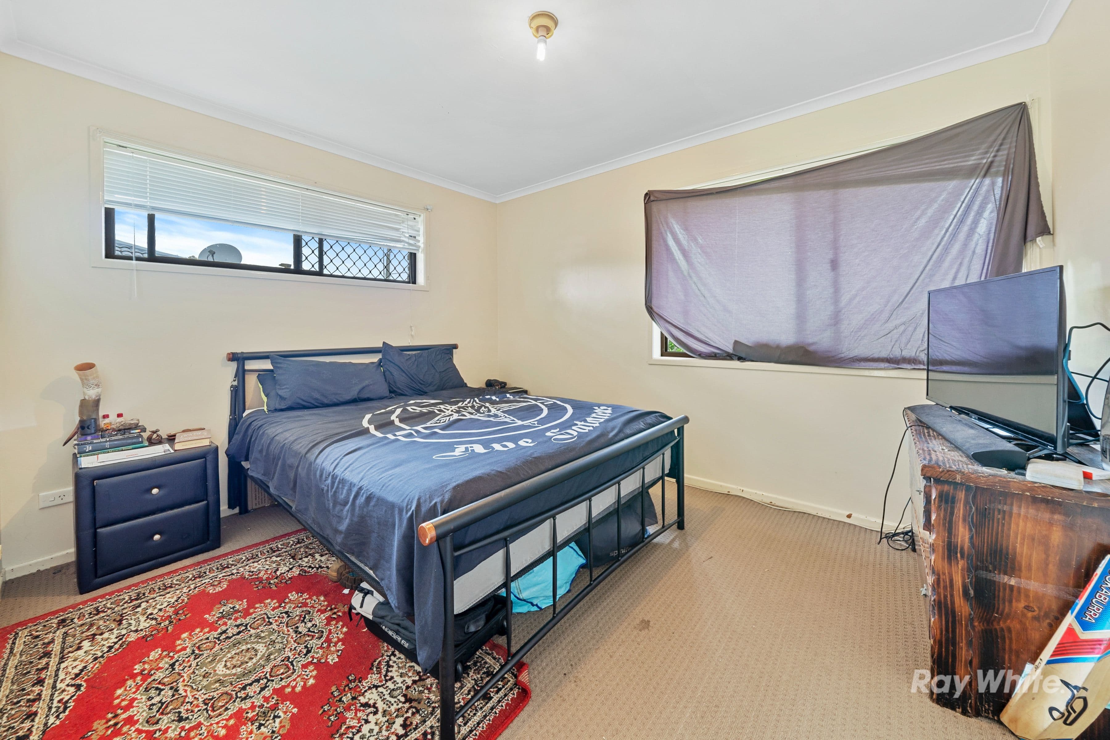11 Anchusa Street, Kingston QLD 4114, Kingston - Thumbnail 5